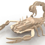 Коллекция моделей насекомых